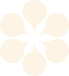 MIEPÄ -kuntoutusmalli Paljon tukea tarvitsevien palveluprosessit