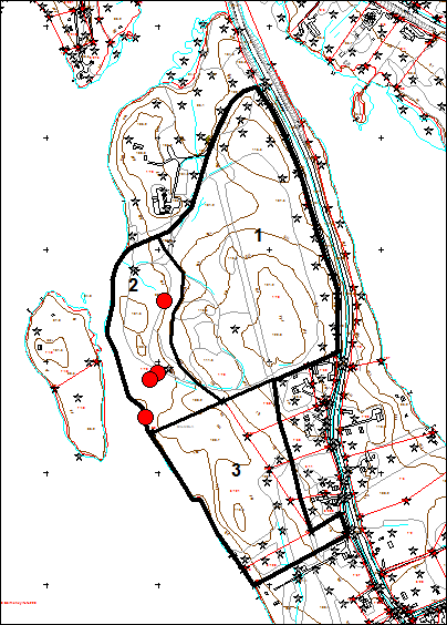 Salmenkylän asemakaavan laajennusalueen luontoselvitys Kuva 1. Salmenkylän selvitysalue. Osa-alueen raja = musta viiva. Liito-oravahavainto = punainen piste. Mittakaava noin 1: 7 500. 1. Pohjoisosa Selvitysalueen pohjoisosassa on kaksi korkeaa metsäpeitteistä mäkeä.