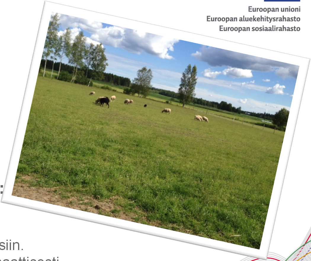 VISIO Seinäjoen seudun kunnat toimivat kestävän kehityksen alueellisena suunnannäyttäjänä vuonna 2020. Vision toteutuminen edellyttää, että: Kunnat toteuttavat ilmastostrategian toimenpiteitä.