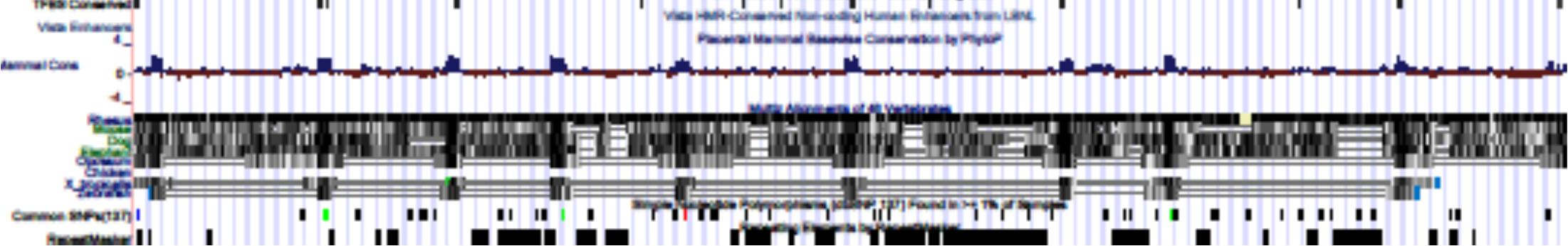 UCSC Genome Browser
