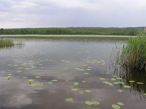 Aloitteita, esiselvitystarvetta ym. 2010-2011 Köyry, Rovaniemi 65.792.1.001 yksityinen 8/2008 paikallisesti liiallinen vesikasvillisuus niittoaloite Aatsinginjärvet, Salla 65.483.1.001 paikalliset 9/2010 liiallinen vesikasvillisuus niitto Kursun kylän järvet, Salla 65.