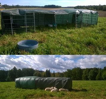 25 Kuva 7. Aitauksessa käytettiin tavallista sähkölankaa ja kahta erilaista valmista verkkoaitaa (Vesamäki 2016). Eläimille rakennettiin myös suojakatos (Kuva 8) laitumelle.