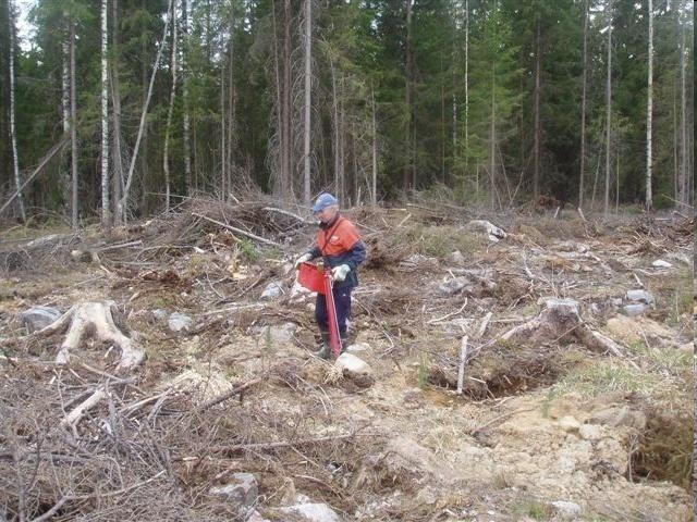 Laatu ja laadunhallinta metsänuudistamisessa Viljelyn laadun hallinta Hyvä