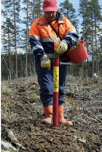 Laatu ja laadunhallinta metsänuudistamisessa Taimivalinta uudistusalalle Laadukas taimi Kuljetus,