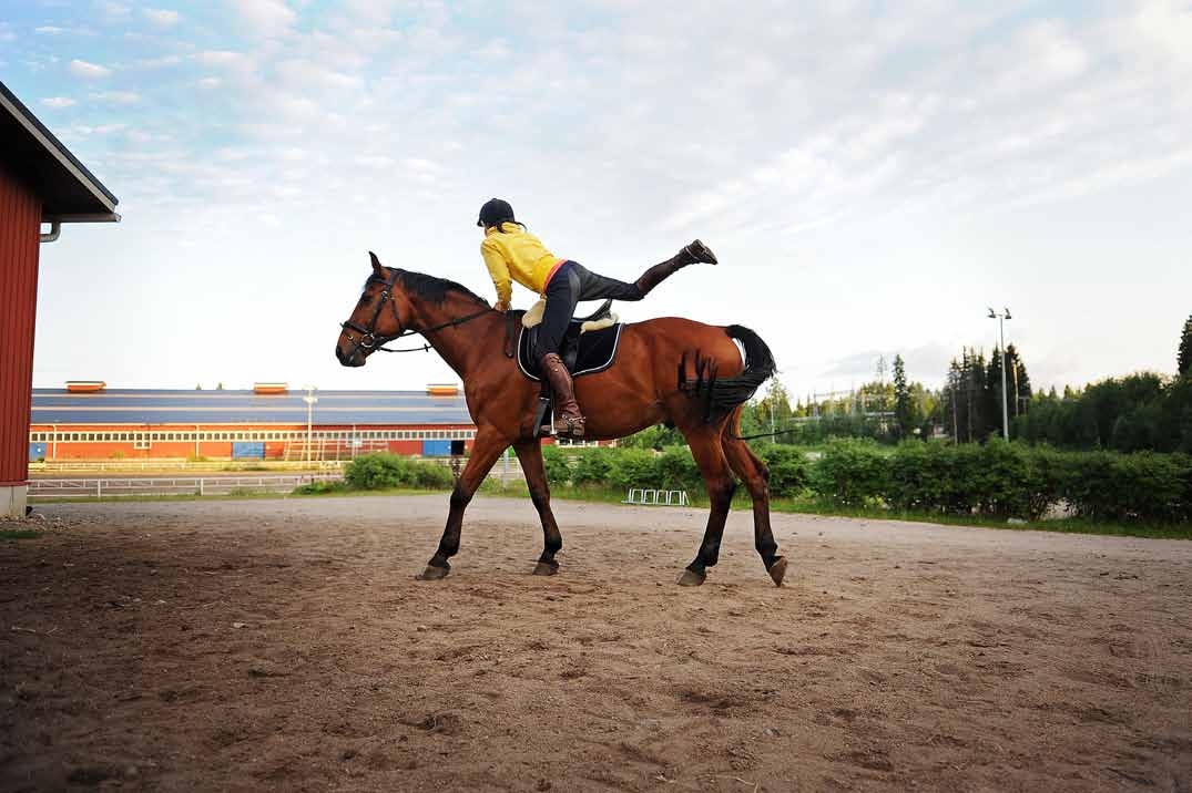 Hyppää kyytiin Ennen ratsastustuntien ohjaamista Maiju ratsastaa omalla hevosellaan. Partsi on nuori tuontiruuna Latviasta.