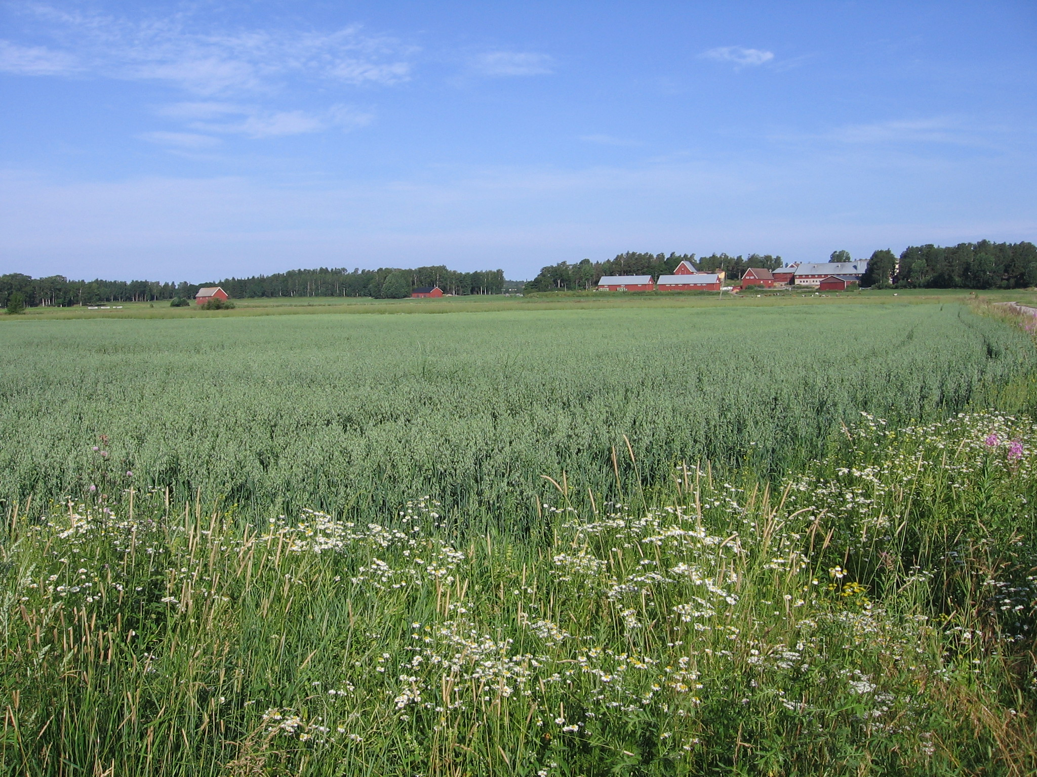 Sisältö 1. Tiken viljatilastot 2.