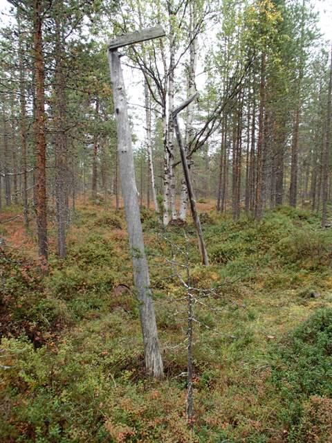 35 Kohde rajautuu havaittujen rakenteiden lähiympäristöön. Tulkinta Saksalaisten ylläpitämä vankileiri. Lisätietoja Sodan piikkilangat - Totta ja tarinaa Inarin vankileireistä.