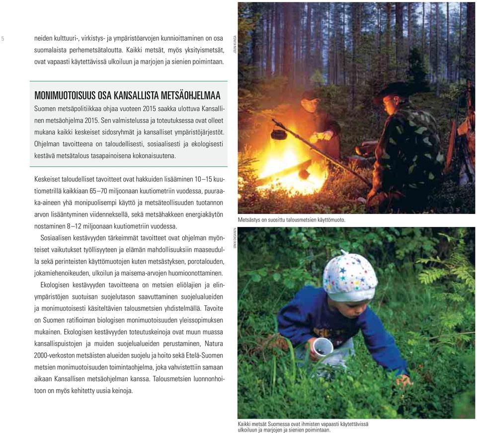 JOUNI KLINGA MONIMUOTOISUUS OSA KANSALLISTA METSÄOHJELMAA Suomen metsäpolitiikkaa ohjaa vuoteen 2015 saakka ulottuva Kansallinen metsäohjelma 2015.