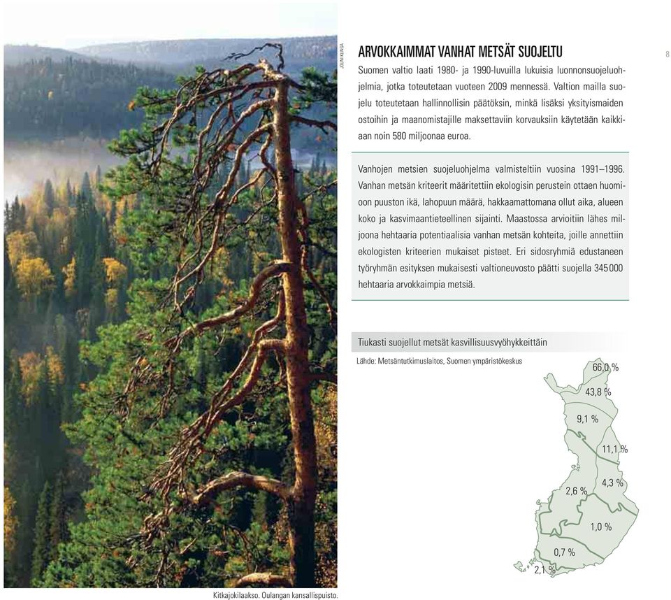 8 Vanhojen metsien suojeluohjelma valmisteltiin vuosina 1991 1996.