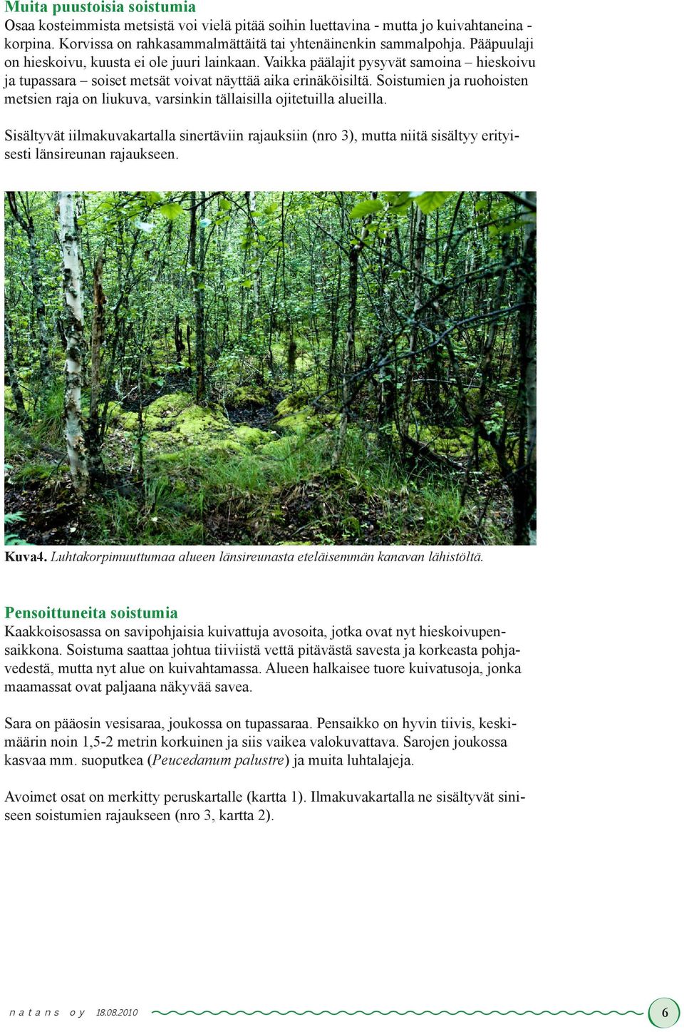 Soistumien ja ruohoisten metsien raja on liukuva, varsinkin tällaisilla ojitetuilla alueilla.