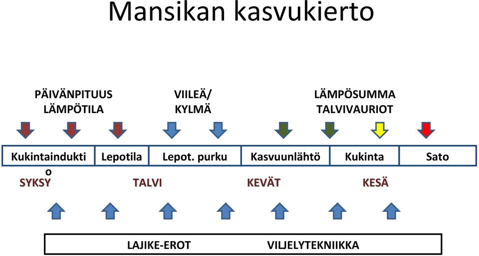 Kukintaindukti Lepotila Lepot.