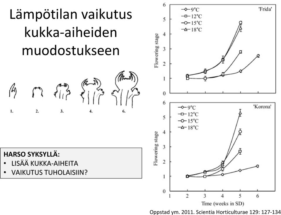 AIHEITA AIHEITA VAIKUTUS TUHOLAISIIN?