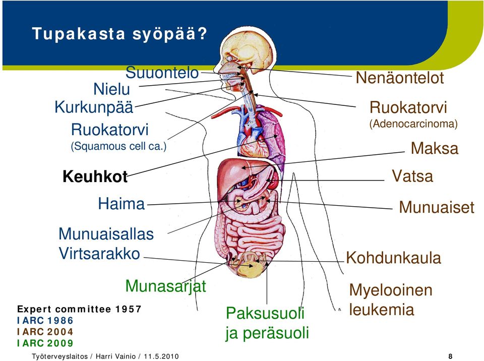 IARC 2009 Munasarjat Paksusuoli ja peräsuoli Nenäontelot Ruokatorvi (Adenocarcinoma)