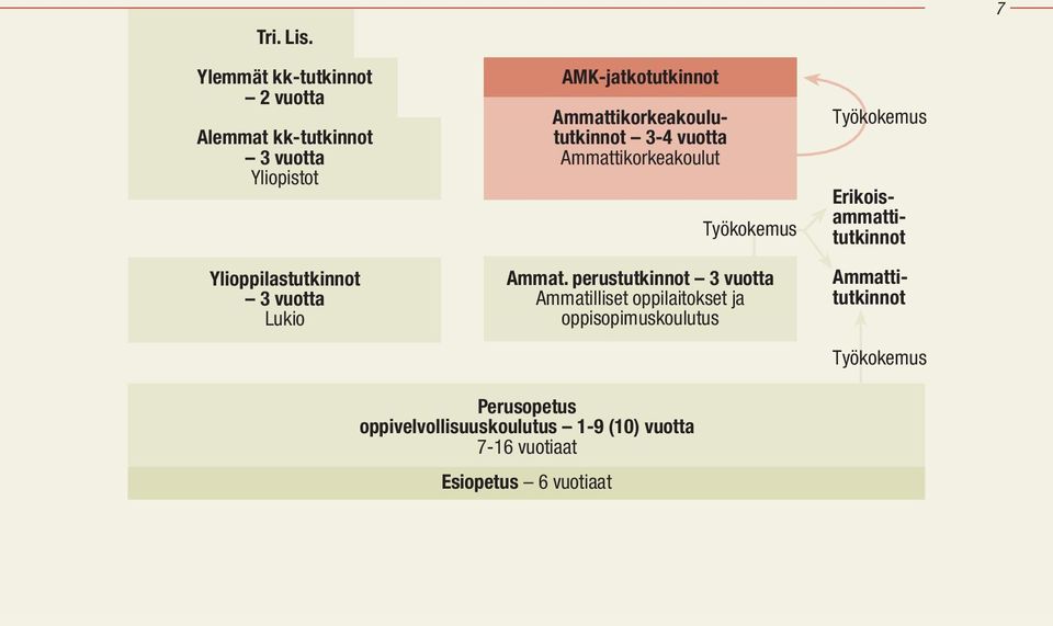 vuotta Lukio AMK-jatkotutkinnot utkinnot 3-4 vuotta Työkokemus Ammat.