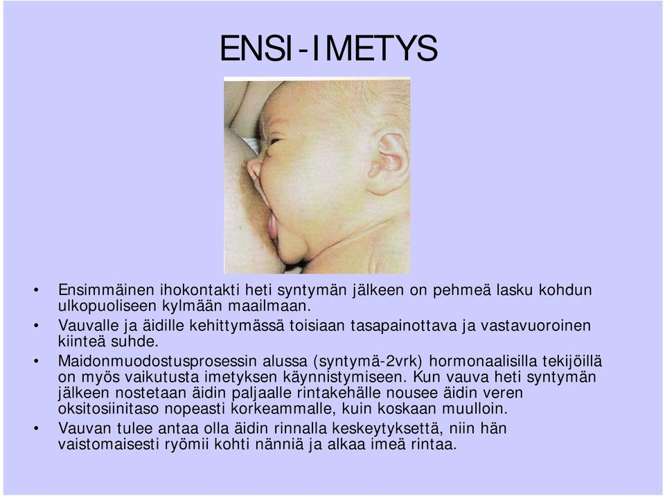 Maidonmuodostusprosessin alussa (syntymä-2vrk) hormonaalisilla tekijöillä on myös vaikutusta imetyksen käynnistymiseen.