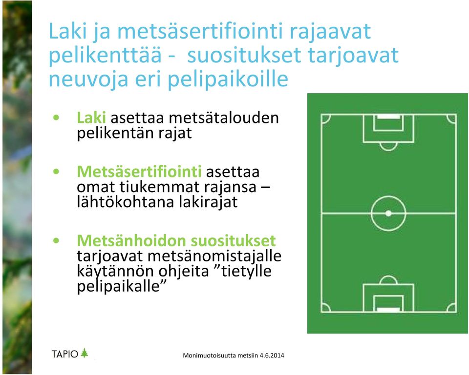 omat tiukemmat rajansa lähtökohtana lakirajat Metsänhoidon suositukset tarjoavat