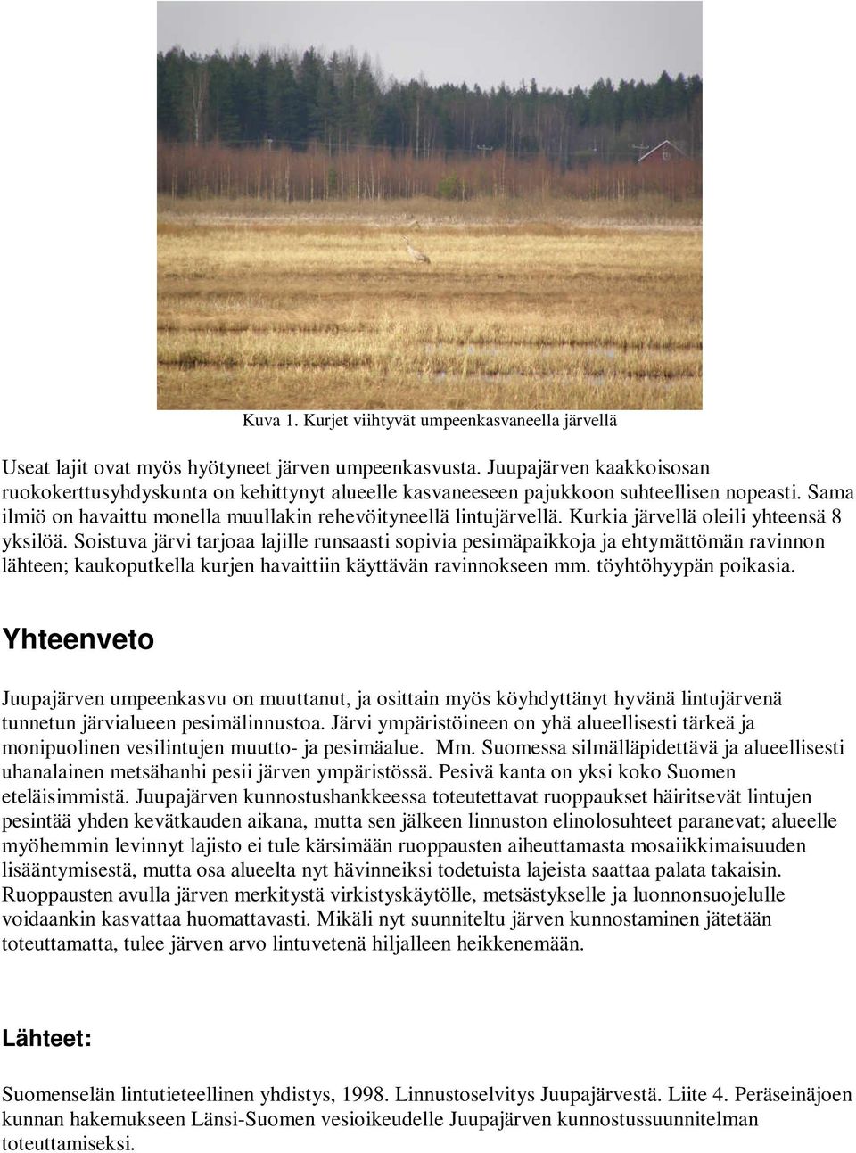 Kurkia järvellä oleili yhteensä 8 yksilöä. Soistuva järvi tarjoaa lajille runsaasti sopivia pesimäpaikkoja ja ehtymättömän ravinnon lähteen; kaukoputkella kurjen havaittiin käyttävän ravinnokseen mm.