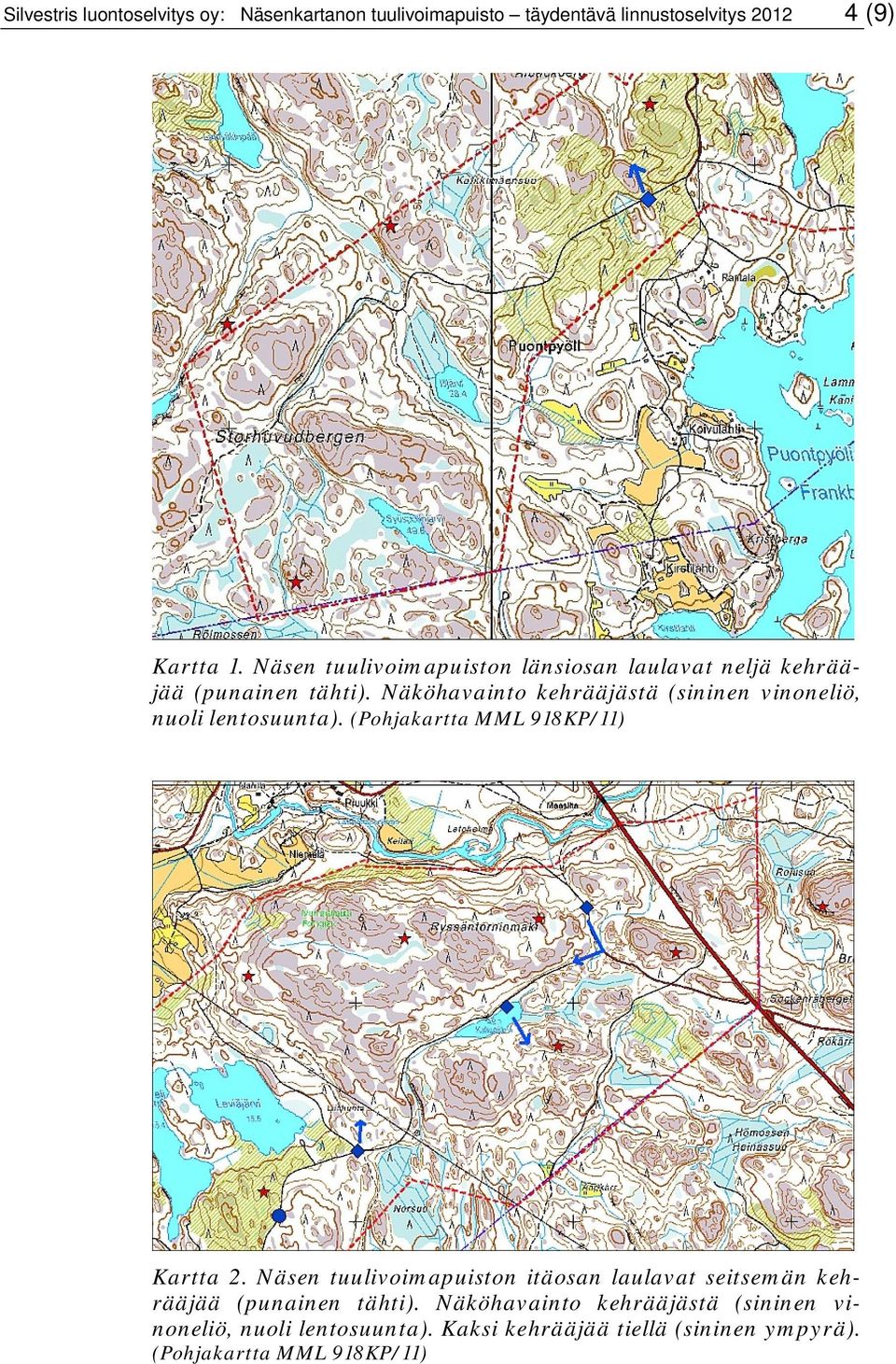 Näköhavainto kehrääjästä (sininen vinoneliö, nuoli lentosuunta). (Pohjakartta MML 918KP/11) Kartta 2.