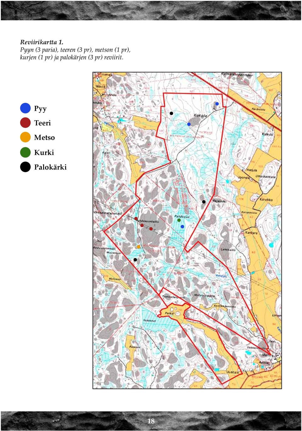 metson (1 pr), kurjen (1 pr) ja