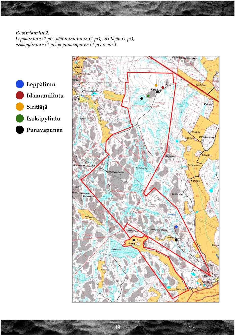 sirittäjän (1 pr), isokäpylinnun (1 pr) ja