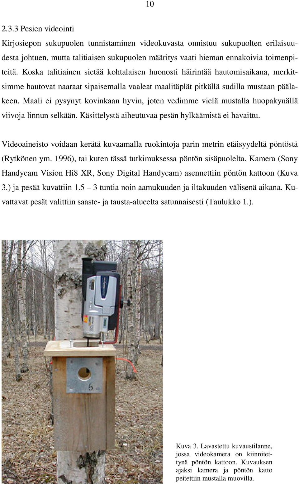 Maali ei pysynyt kovinkaan hyvin, joten vedimme vielä mustalla huopakynällä viivoja linnun selkään. Käsittelystä aiheutuvaa pesän hylkäämistä ei havaittu.