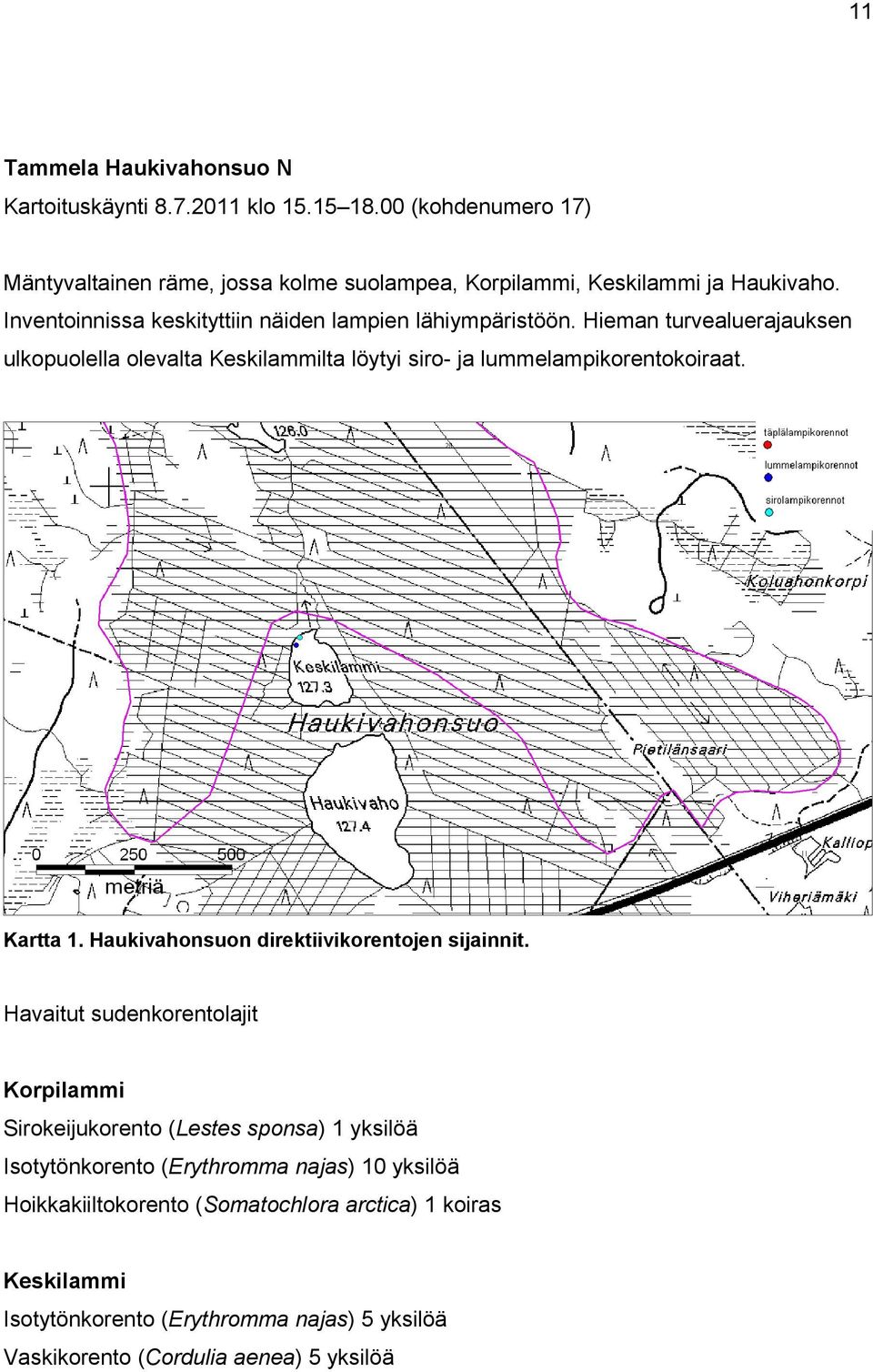 Kartta 1. Haukivahonsuon direktiivikorentojen sijainnit.