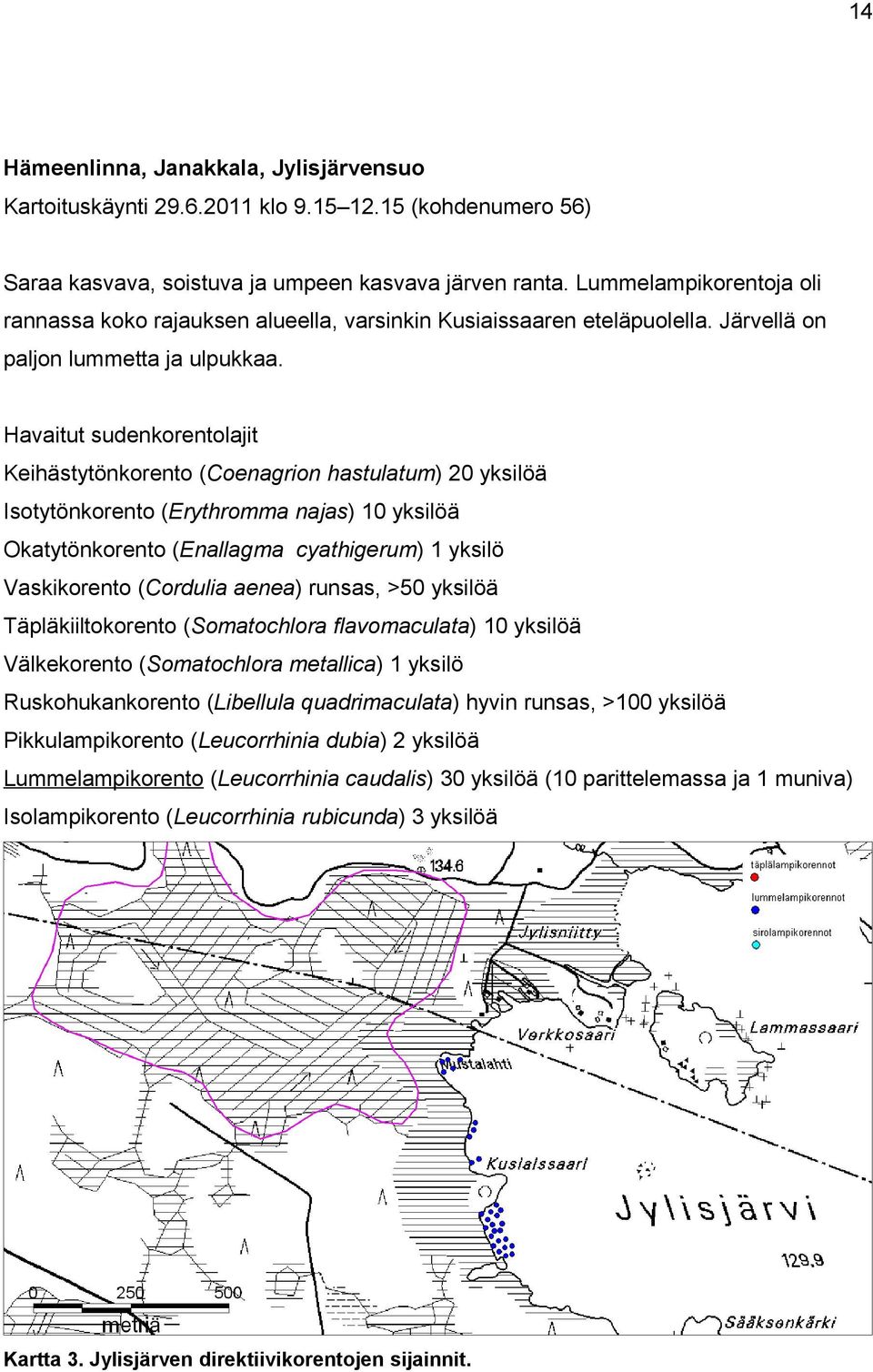 Havaitut sudenkorentolajit Keihästytönkorento (Coenagrion hastulatum) 20 yksilöä Isotytönkorento (Erythromma najas) 10 yksilöä Okatytönkorento (Enallagma cyathigerum) 1 yksilö Vaskikorento (Cordulia