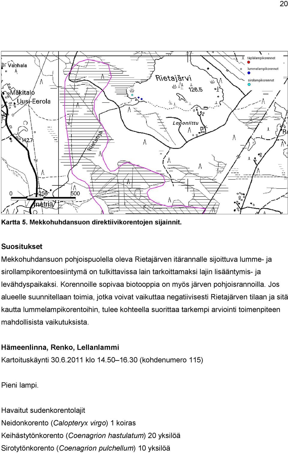 Korennoille sopivaa biotooppia on myös järven pohjoisrannoilla.