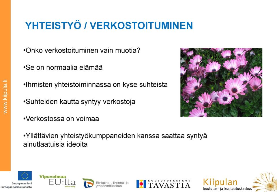 suhteista Suhteiden kautta syntyy verkostoja Verkostossa on voimaa