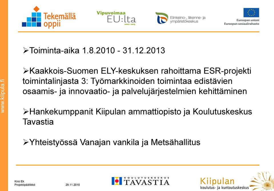 Työmarkkinoiden toimintaa edistävien osaamis- ja innovaatio- ja