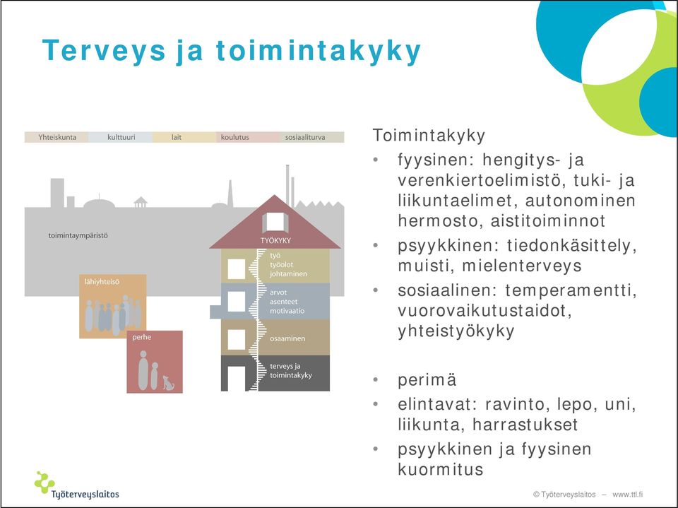 muisti, mielenterveys sosiaalinen: temperamentti, vuorovaikutustaidot, yhteistyökyky