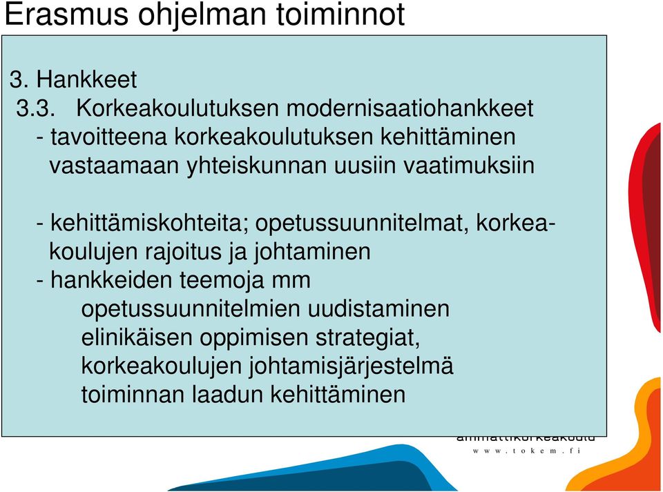 3. Korkeakoulutuksen modernisaatiohankkeet - tavoitteena korkeakoulutuksen kehittäminen vastaamaan