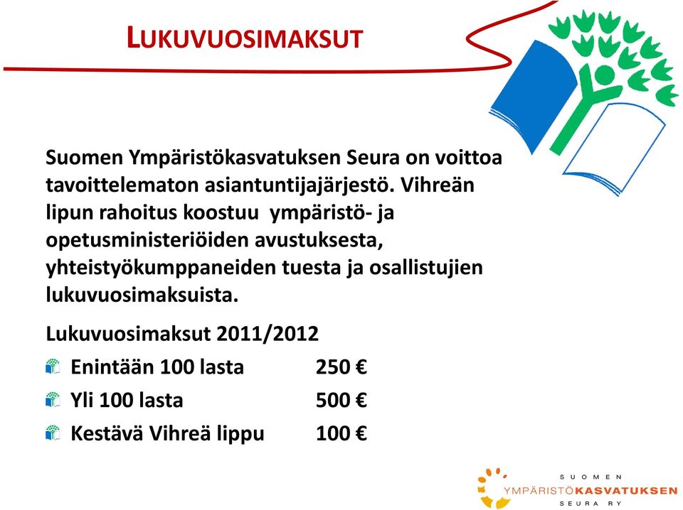 Vihreän lipun rahoitus koostuu ympäristö ja opetusministeriöiden avustuksesta,