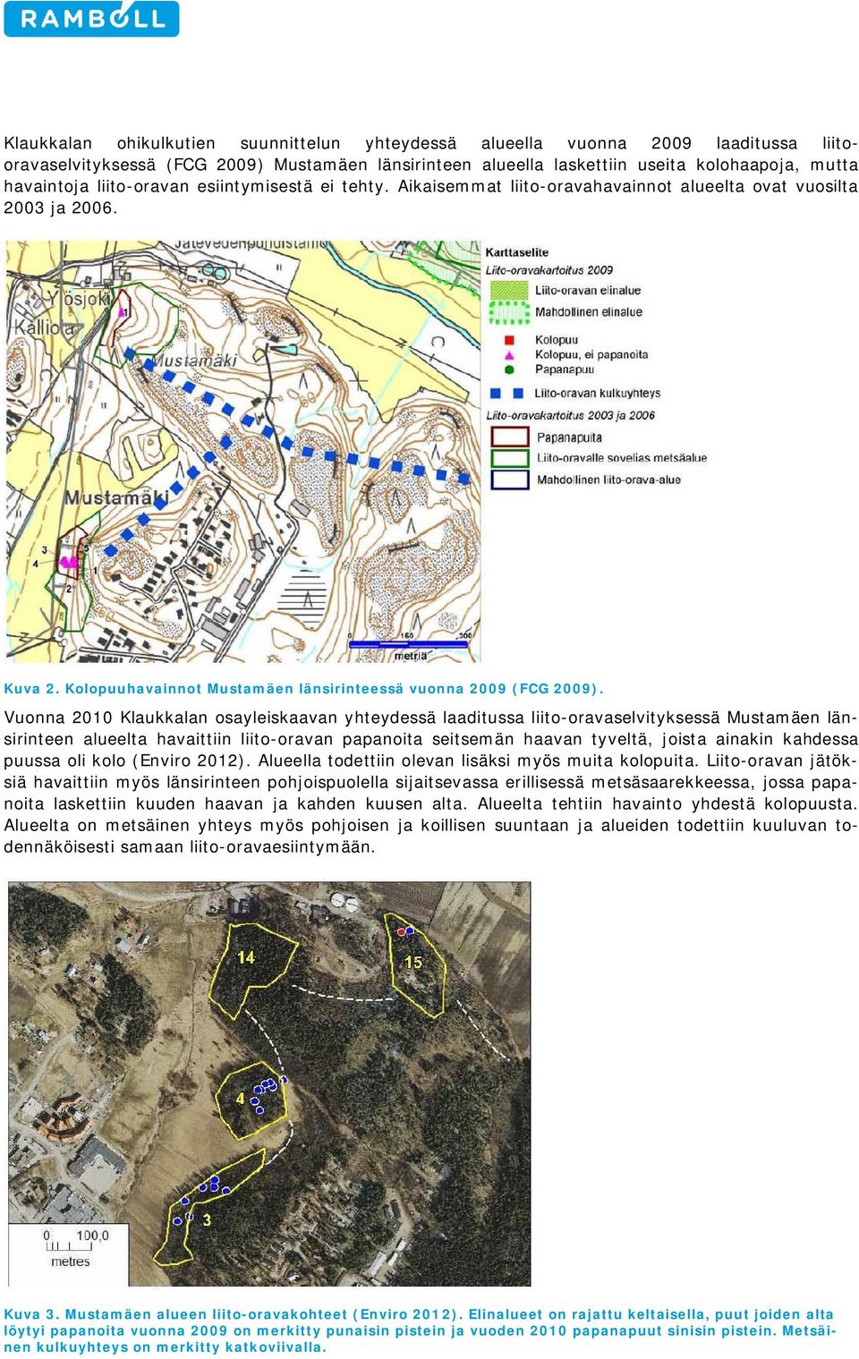 Vuonna 2010 Klaukkalan osayleiskaavan yhteydessä laaditussa liito-oravaselvityksessä Mustamäen länsirinteen alueelta havaittiin liito-oravan papanoita seitsemän haavan tyveltä, joista ainakin