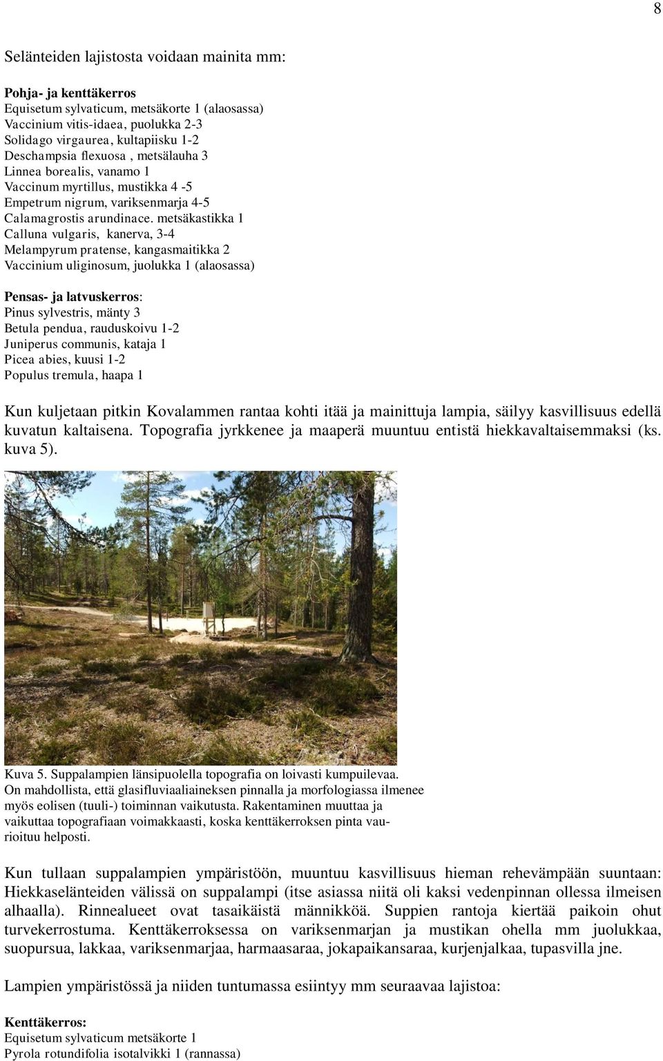 metsäkastikka 1 Calluna vulgaris, kanerva, 3-4 Melampyrum pratense, kangasmaitikka 2 Vaccinium uliginosum, juolukka 1 (alaosassa) Pensas- ja latvuskerros: Pinus sylvestris, mänty 3 Betula pendua,