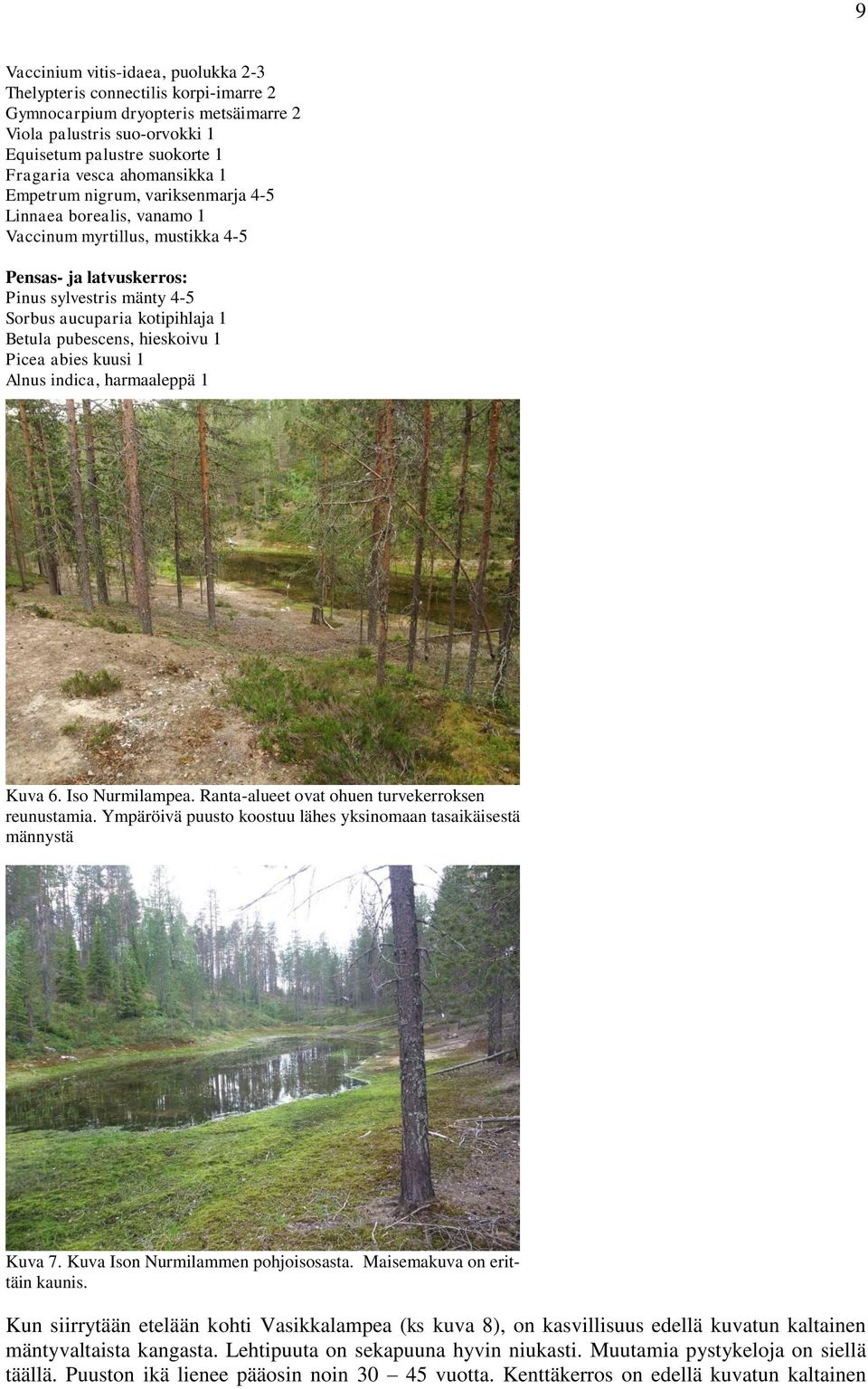 pubescens, hieskoivu 1 Picea abies kuusi 1 Alnus indica, harmaaleppä 1 Kuva 6. Iso Nurmilampea. Ranta-alueet ovat ohuen turvekerroksen reunustamia.