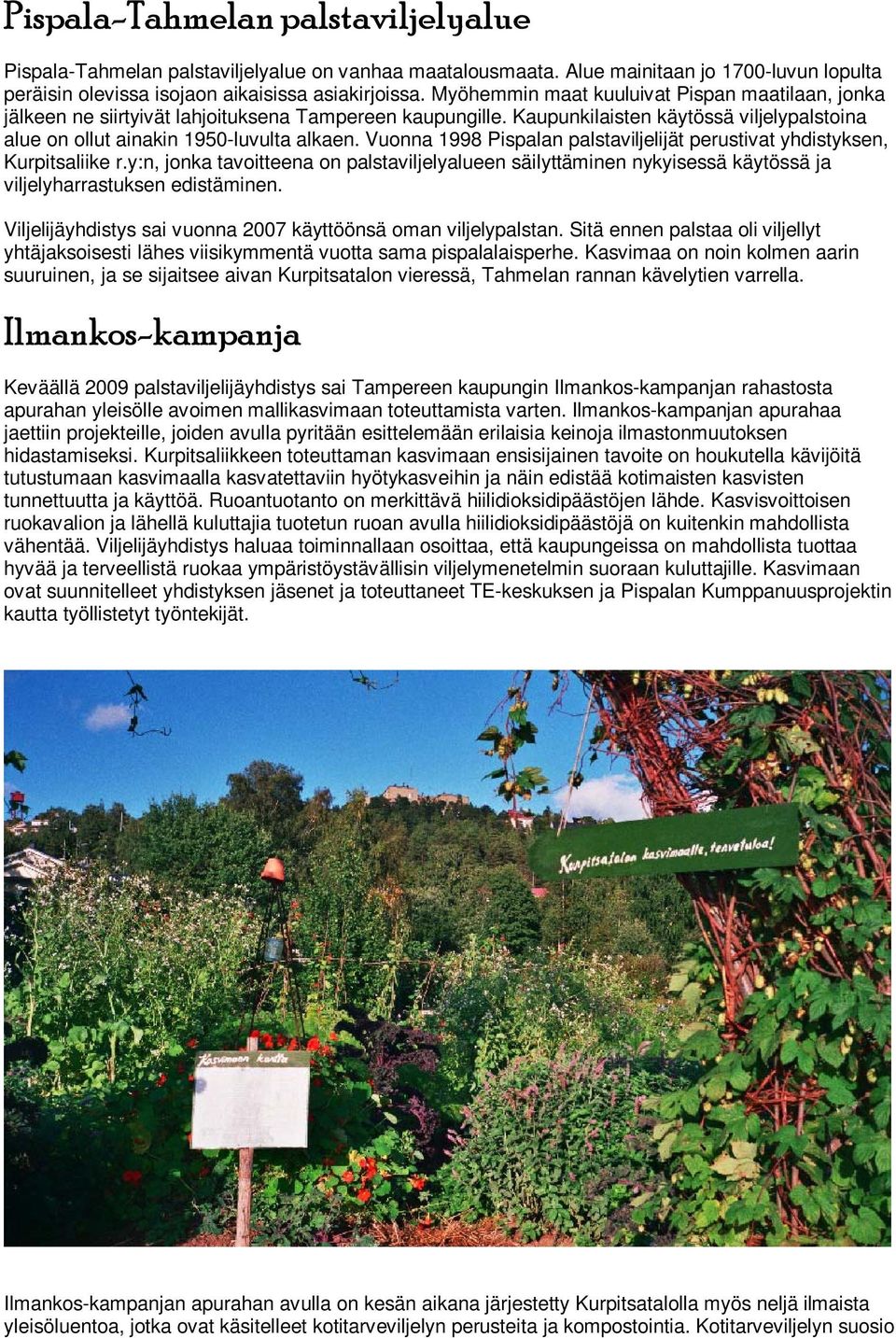 Vuonna 1998 Pispalan palstaviljelijät perustivat yhdistyksen, Kurpitsaliike r.y:n, jonka tavoitteena on palstaviljelyalueen säilyttäminen nykyisessä käytössä ja viljelyharrastuksen edistäminen.