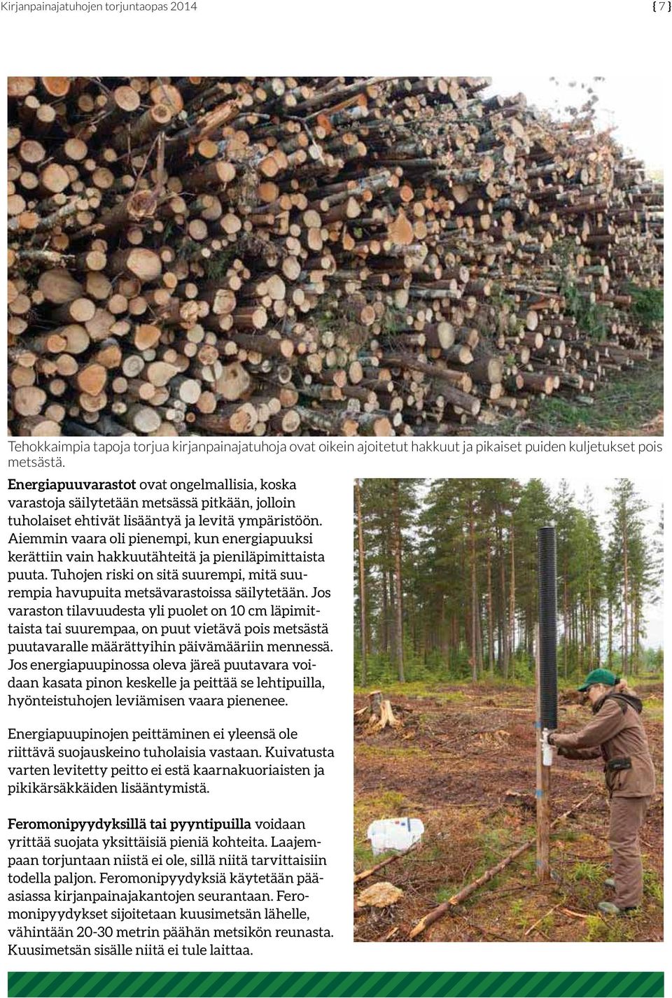 Aiemmin vaara oli pienempi, kun energiapuuksi kerättiin vain hakkuutähteitä ja pieniläpimittaista puuta. Tuhojen riski on sitä suurempi, mitä suurempia havupuita metsävarastoissa säilytetään.