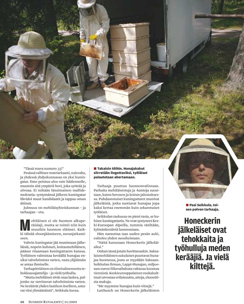 Mehiläinen ei ole Suomen alkuperäislaji, mutta se toimii niin kuin muutkin luonnon eläimet. Kaikki tähtää eloonjäämiseen, suvunjatkamiseen.