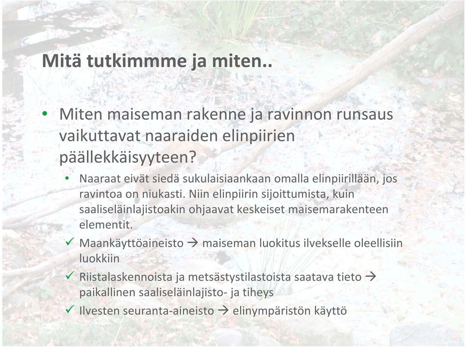 Niin elinpiirin sijoittumista, kuin saaliseläinlajistoakin ohjaavat keskeiset maisemarakenteen elementit.