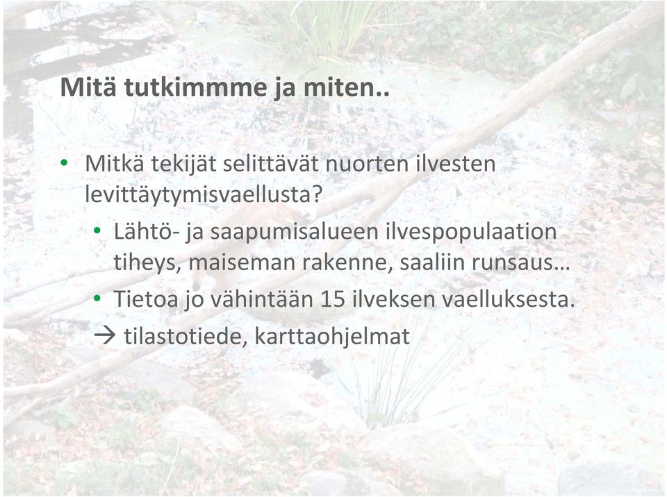 levittäytymisvaellusta?