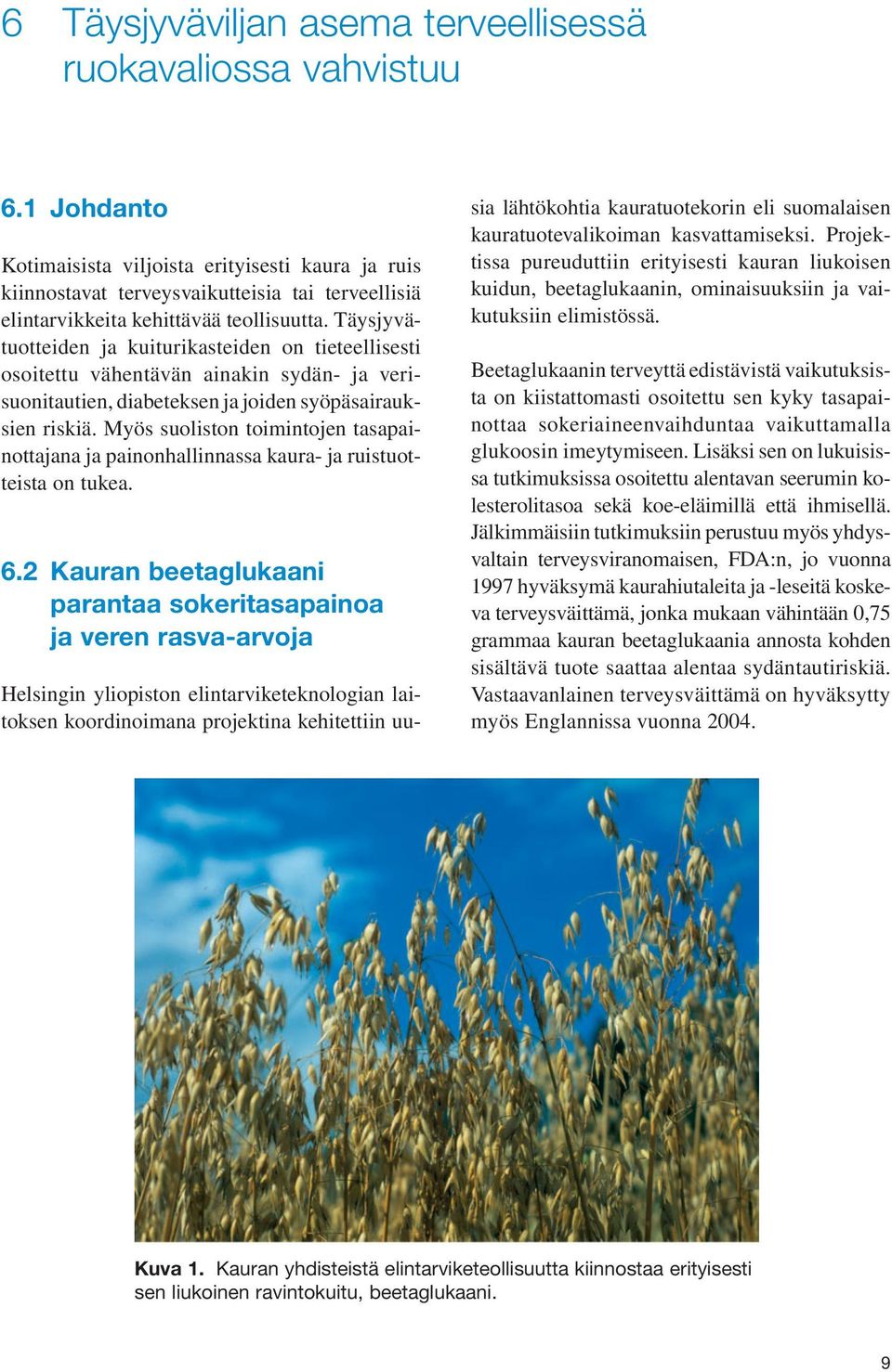 Täysjyvätuotteiden ja kuiturikasteiden on tieteellisesti osoitettu vähentävän ainakin sydän- ja verisuonitautien, diabeteksen ja joiden syöpäsairauksien riskiä.