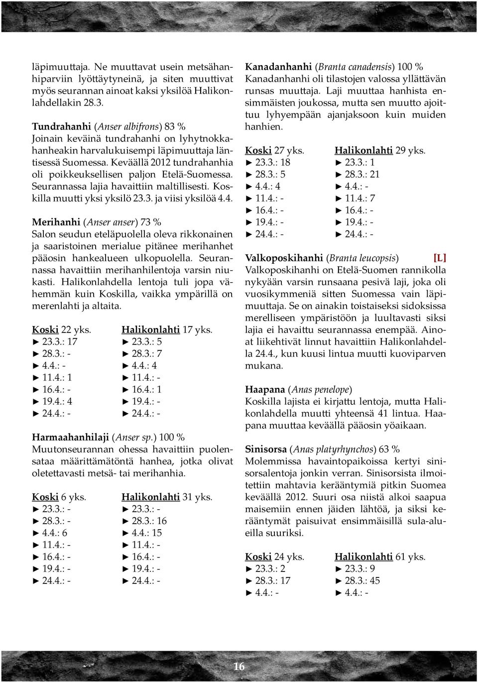 Keväällä 2012 tundrahanhia oli poikkeuksellisen paljon Etelä-Suomessa. Seurannassa lajia havaittiin maltillisesti. Koskilla muutti yksi yksilö 23.3. ja viisi yksilöä 4.