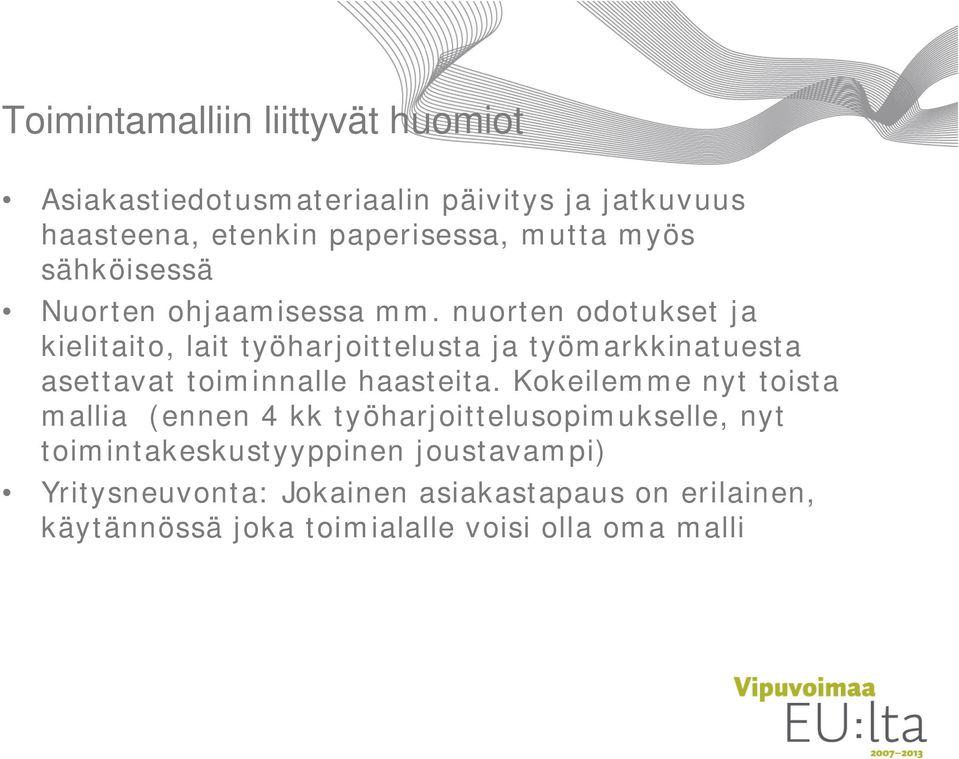 nuorten odotukset ja kielitaito, lait työharjoittelusta ja työmarkkinatuesta asettavat toiminnalle haasteita.