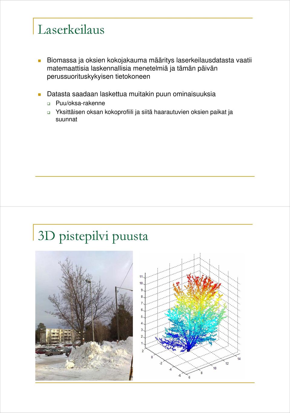 tietokoneen Datasta saadaan laskettua muitakin puun ominaisuuksia Puu/oksa-rakenne