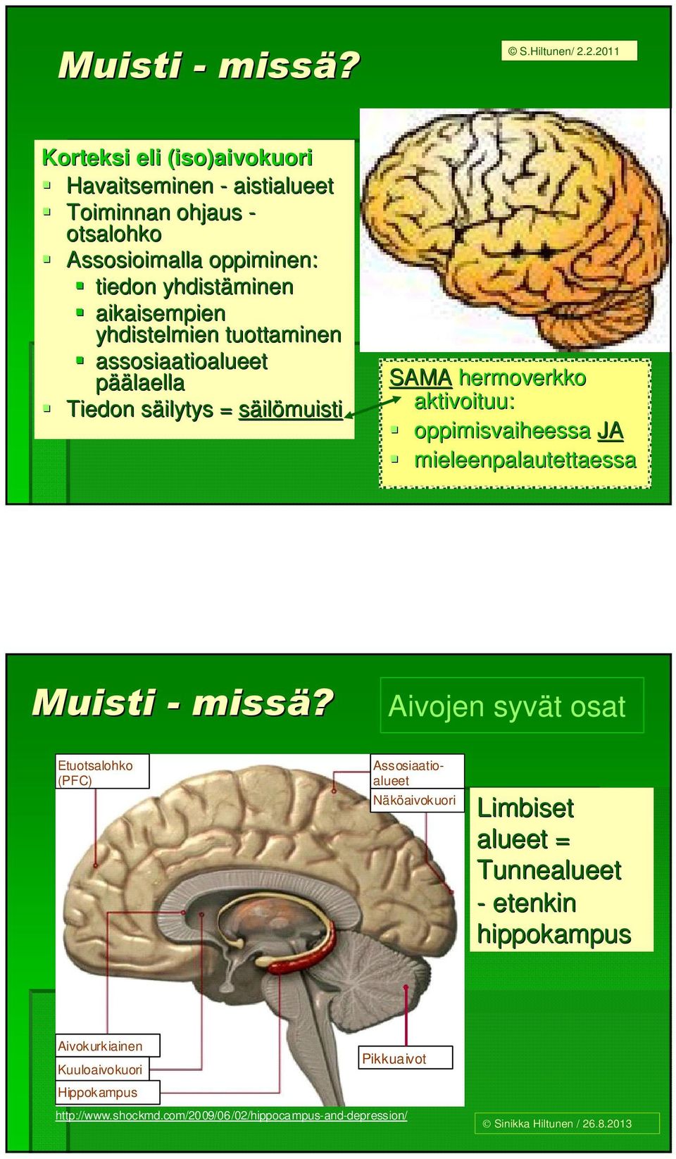 yhdistelmien tuottaminen assosiaatioalueet päälaella Tiedon säilytys s = säilömuisti SAMA hermoverkko aktivoituu: oppimisvaiheessa JA