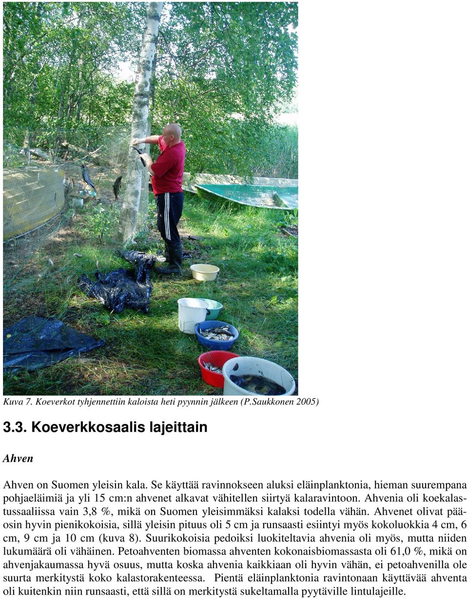 Ahvenia oli koekalastussaaliissa vain 3,8 %, mikä on Suomen yleisimmäksi kalaksi todella vähän.