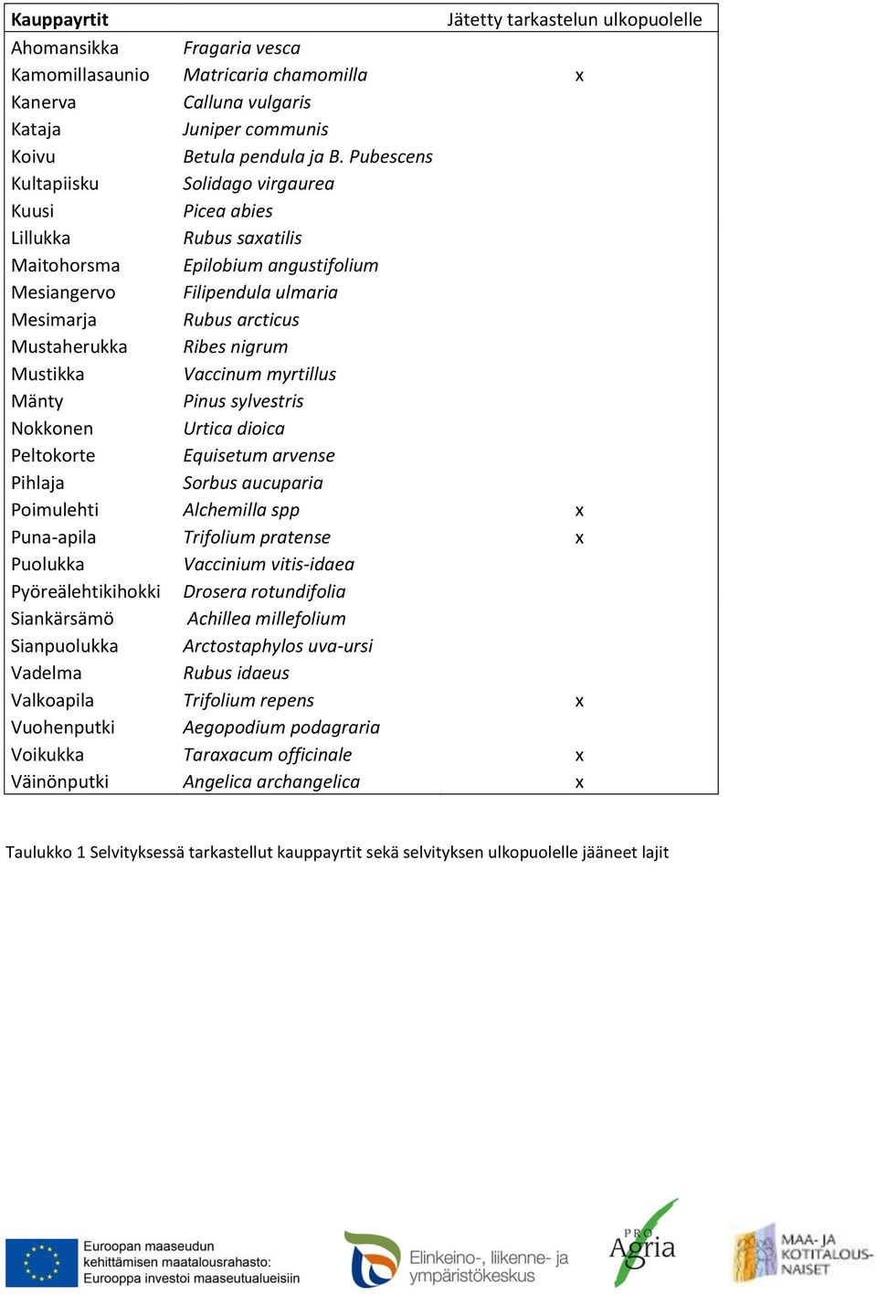 nigrum Mustikka Vaccinum myrtillus Mänty Pinus sylvestris Nokkonen Urtica dioica Peltokorte Equisetum arvense Pihlaja Sorbus aucuparia Poimulehti Alchemilla spp x Puna-apila Trifolium pratense x