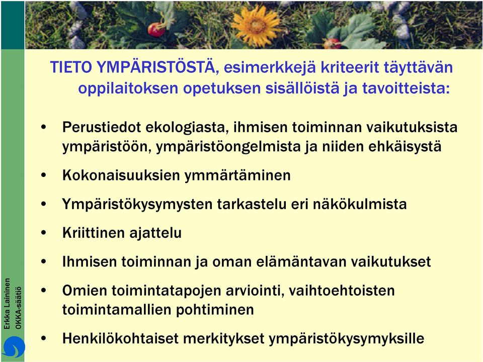 ymmärtäminen Ympäristökysymysten tarkastelu eri näkökulmista Kriittinen ajattelu Ihmisen toiminnan ja oman elämäntavan