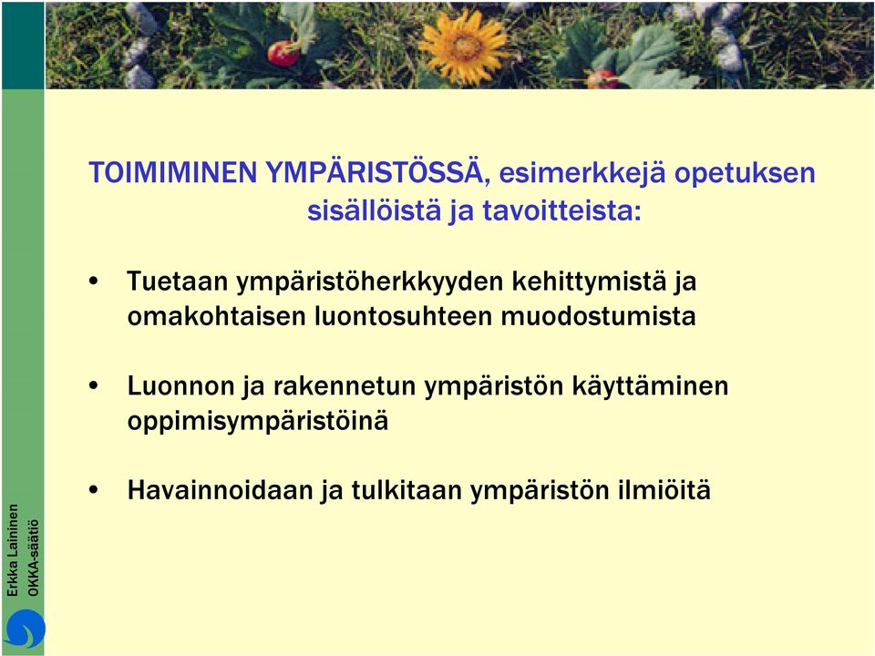 omakohtaisen luontosuhteen muodostumista Luonnon ja rakennetun